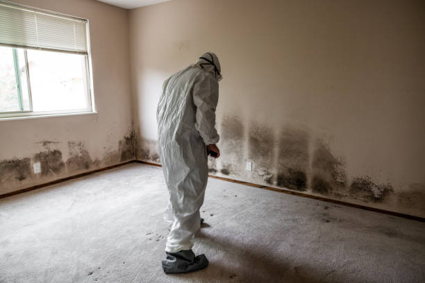 Water Damage Restoration in Burns Harbor, IN